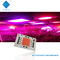 AC 110 ولت 220 ولت 50 وات 100 وات بدون راننده COB تراشه LED 380-780 نانومتری برای رشد / نور خیابان
