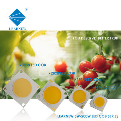 ال ای دی سی او بی برای چراغ دیواری و نورافکن