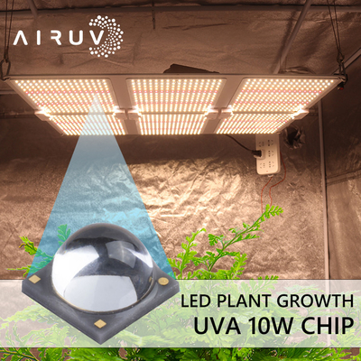تراشه‌های LED 10 واتی 365 نانومتری 385 نانومتری 395 نانومتری 6-7 ولتی Uva 3 واتی برای پخت با اشعه ماوراء بنفش