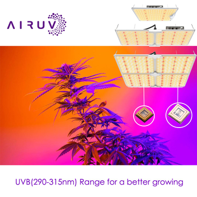 10w 20w 100w UVA UVB UVCLED COB کارایی بالا 365nm 385nm 395nm مقرون به صرفه LED