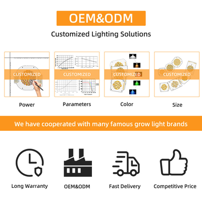 دو رنگ Cob LED Chip 6060 دو CCT 2700K 6500K Cob Chip قدرت بالا 300W * 2 LED