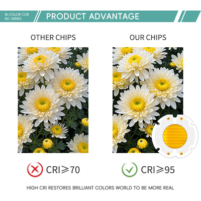 برق بالا 200W 6060 LED cob chip دو رنگ chip برای نور عکاسی