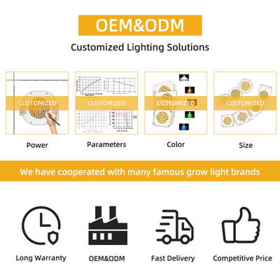 2700k 6500k سفید گرم سفید قدرت بالا LED 200w اپیستار تراشه سفارشی