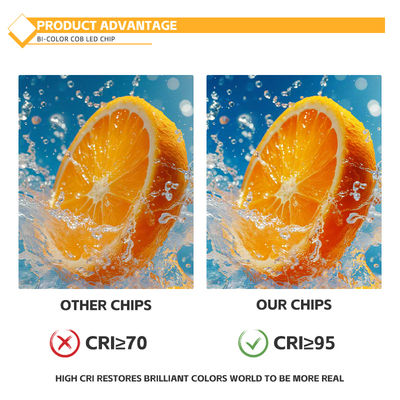 تراشه COB سفارشی آلومینیومی 2424 در سفید، آبی، قرمز و سبز با روشنایی بالا از کارخانه چین