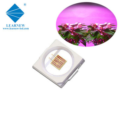 1 وات SMD 3030 آبی LED رشد نور تراشه 440-470nm 300mA 3.0-3.4V