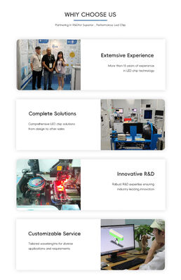 LED UVA پیشرفته 365 نانومتر 385 نانومتر 395 نانومتر با توان بالا SMD6868 10 وات لومن بالا 6.0-7.0 ولت نور UV برای رشد گیاهان گلخانه ای و پخت UV