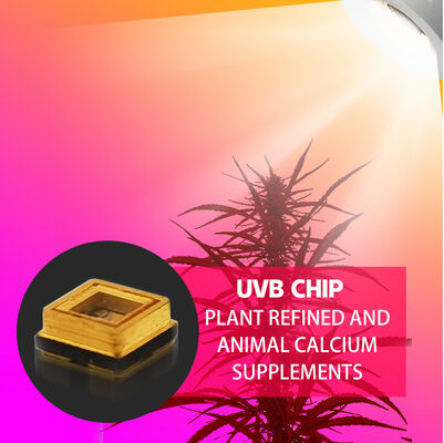 زیبایی UVB 3W چیپ 315nm قیمت کارخانه 3535 دیود ال ای دی SMD 311nm 500mA لامپ تزیین LED دیود SMD 306nm 295nm 110mW