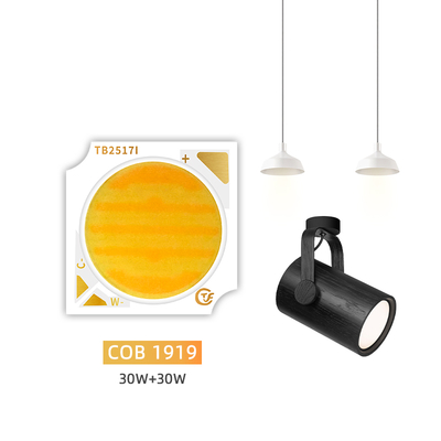 محصول جدید دو رنگ 1919 چیپ سفید + سفید گرم 1919 LED SMD دو رنگ 18 وات 24 وات 25 وات 30 وات