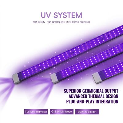 راه حل های UVC 365nm 370W 100W 120W لامپ میکروب کش UV عرضه کنندگان لامپ اکسیمر UVC
