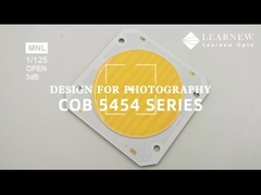 5454 تراشه دو رنگ درجه حرارت