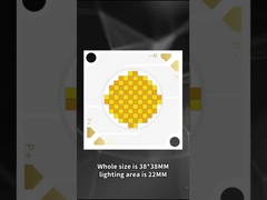 3838 LED COB دو رنگ